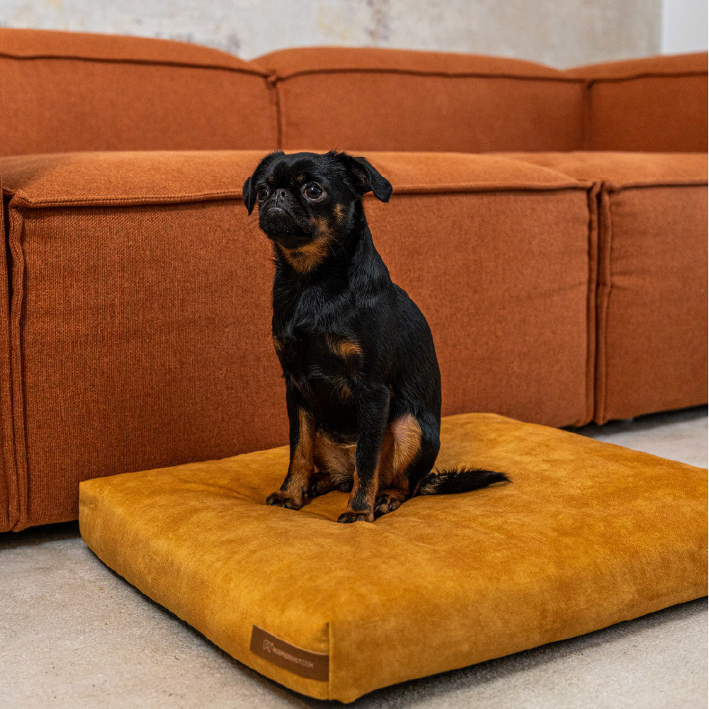 Panier pour chien SoftPET - Light Green