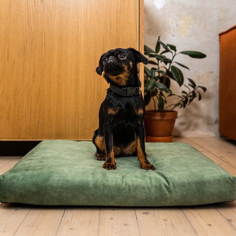 Panier pour chien SoftPET - Bleu