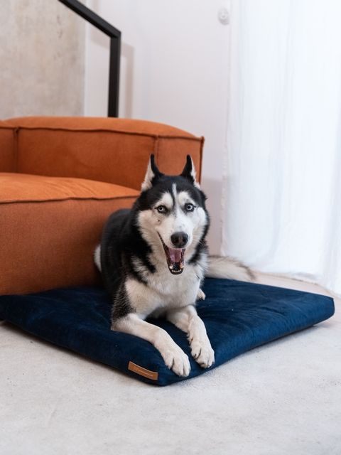 Panier pour chien SoftPET - Navy Blue